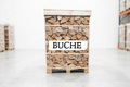 Brennholz Palette - Buche - 25 cm - kammergetrocknet - 1 RM
