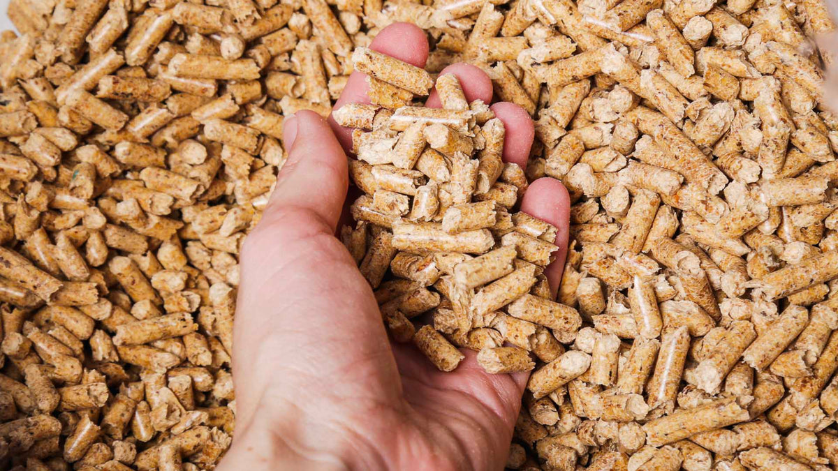 1 LKW-Ladung Premium Holzpellets – Bild 4
