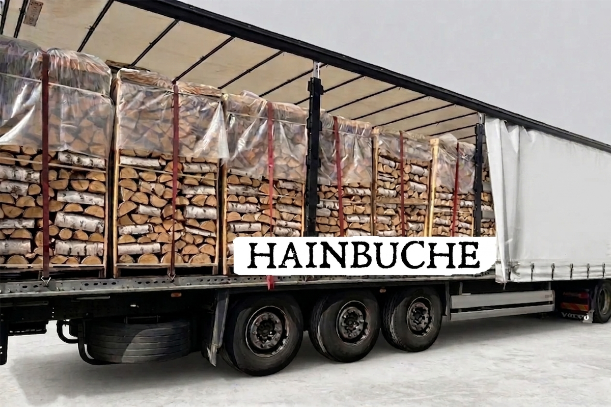 LKW-Ladung Brennholz - Hainbuche - 30/33 cm - kammergetrocknet - 2 RM Paletten
