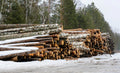 Stammholz Nadelholz – LKW-Lieferung