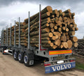 Nadelholzstammholz (gemischt) – 1 LKW-Ladung (50 rm) – PEFC